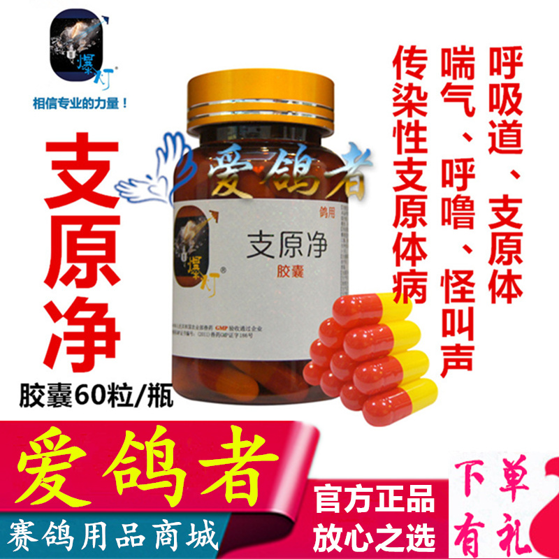 爆灯【支原净】胶囊60粒/鸽药/喘气呼噜咳怪叫声