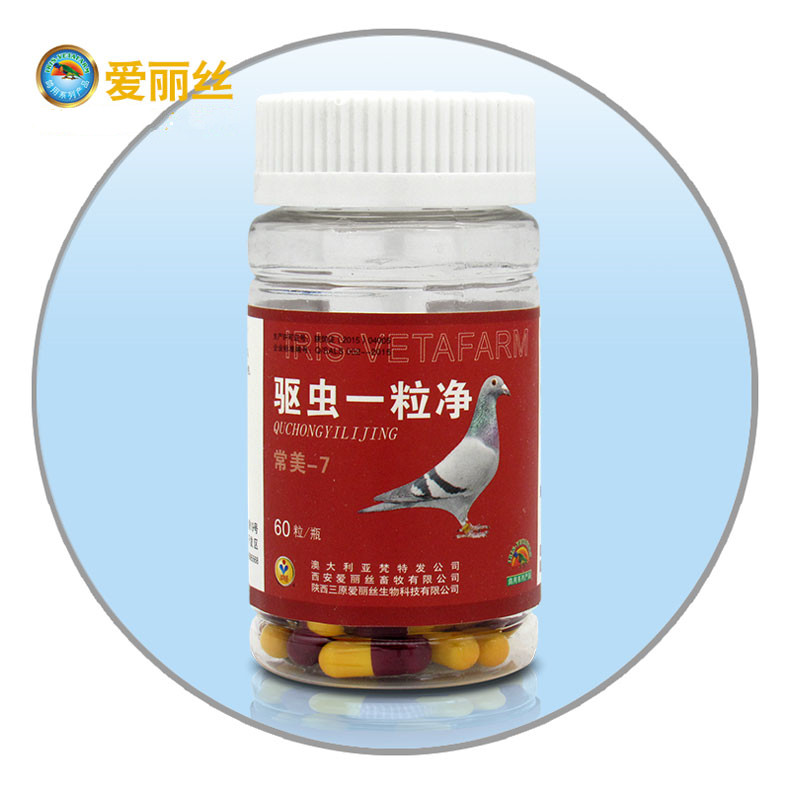 爱丽丝鸽药【驱虫一粒净】杀灭鸽体内涤虫,蛔虫等60粒/瓶
