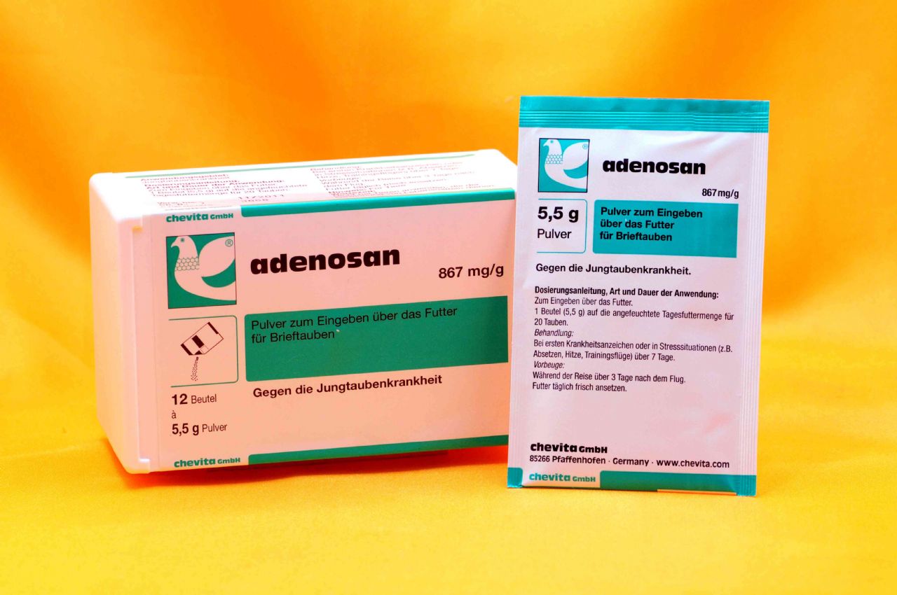 爱迪森(沙门氏口服疫苗)产品展示--中信网鸽业大全