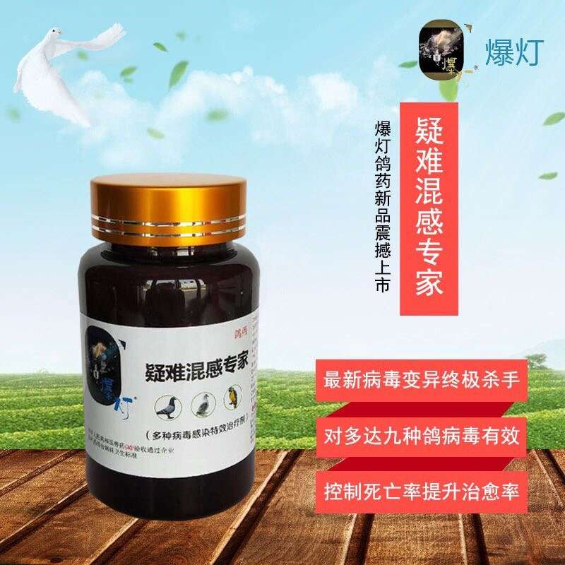 疑难混感专家-和平信鸽用品-中信网鸽业大全