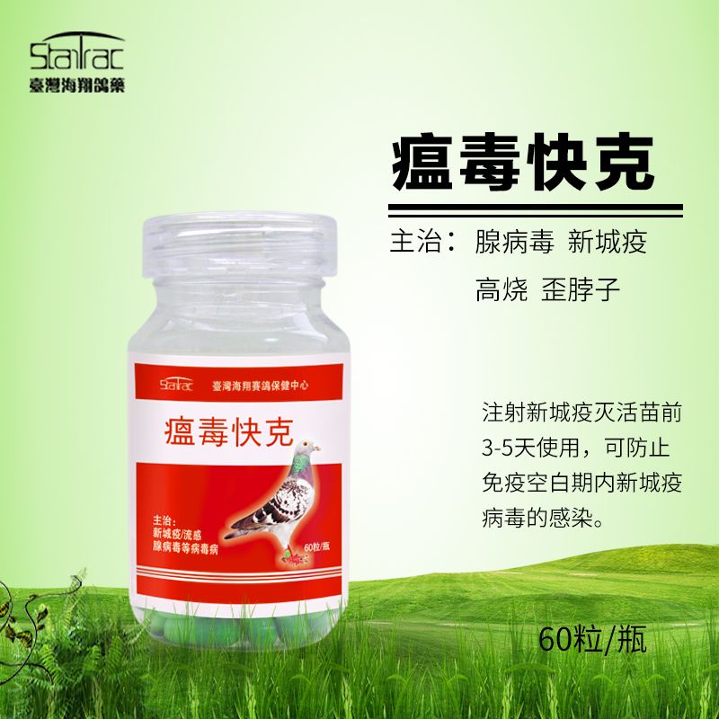 瘟毒快克 新病毒和新城疫 鸽子药