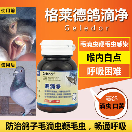 鸽滴净 甲硝唑片 毛滴虫治疗剂