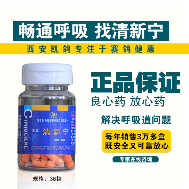 凯鸽【清新宁】36粒/瓶 呼吸道,肠道,衣原体三效合一