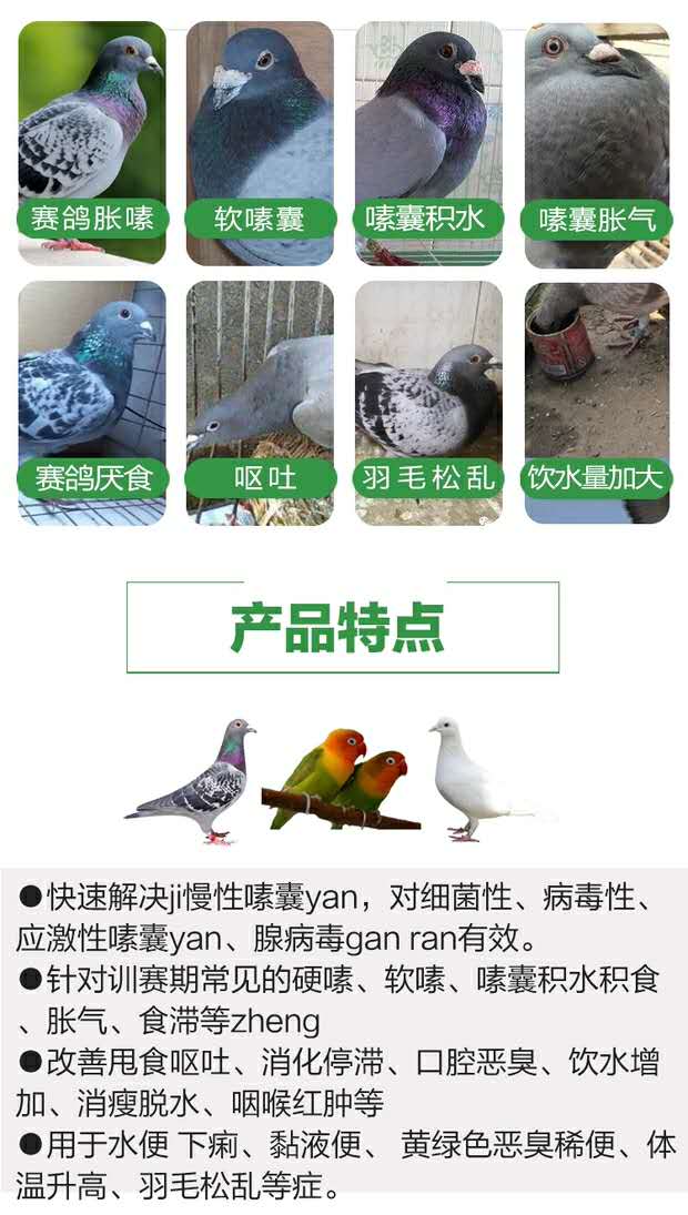 汉诺威嗉囊百消丹100片嗉囊炎腺病毒甩食呕吐下痢涨嗉积食积气-爱飞客