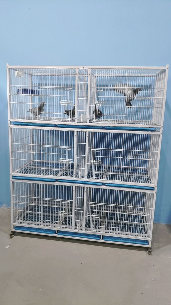 标准大六屋加密配对鸽子笼