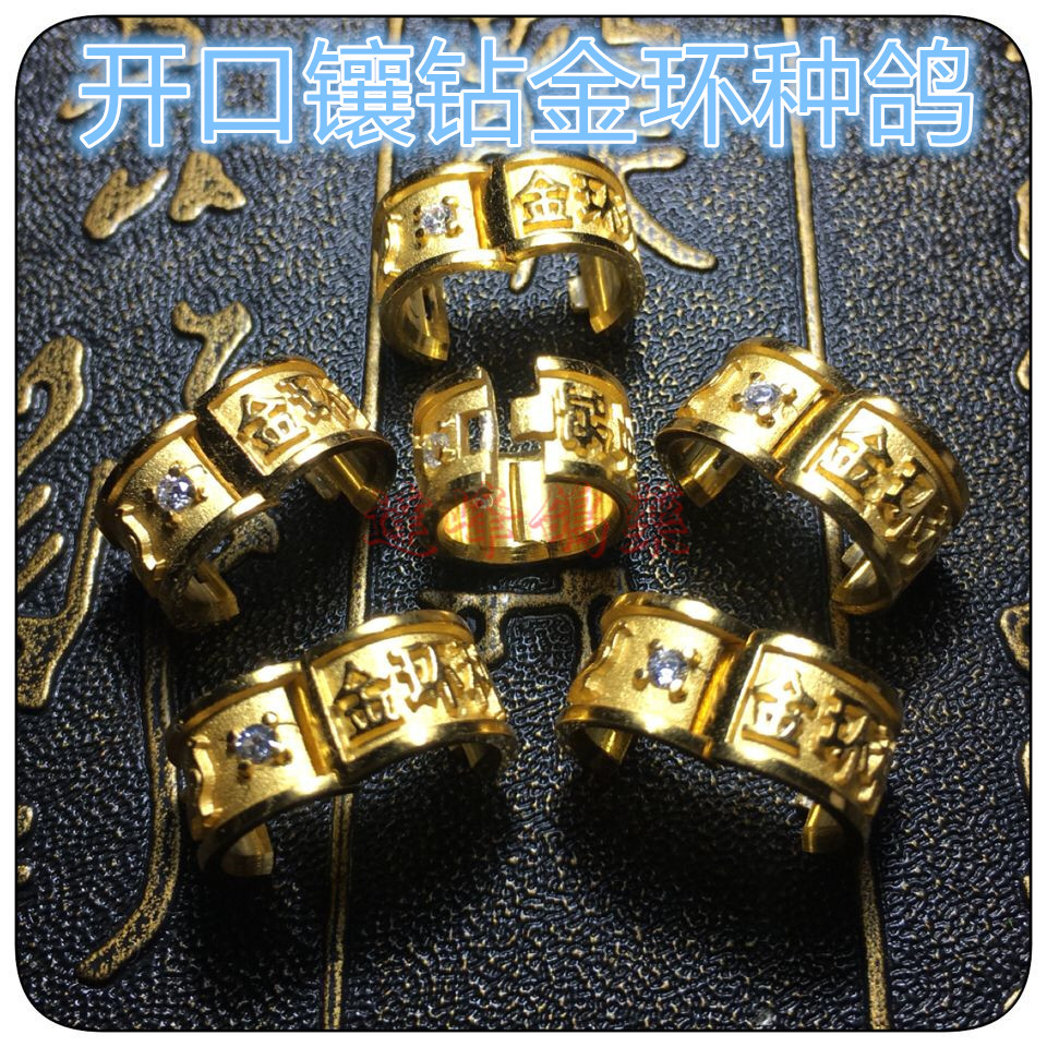 开口特留种鸽/金环种鸽镀金鸽子环(适合成年鸽)