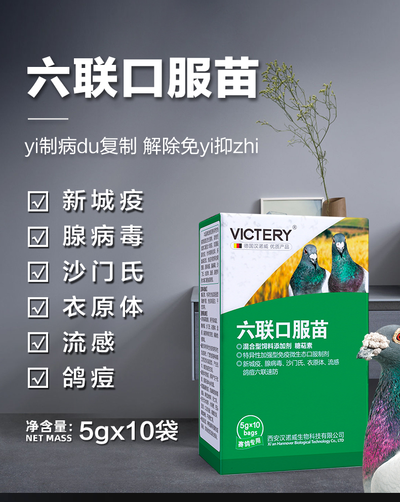 【同款】买一送一汉诺威六联口服苗同款5g*10到产品展示--中信网鸽业