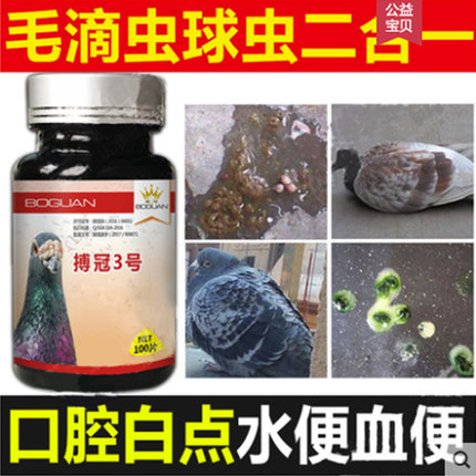 搏冠鴿藥【搏冠3號】毛滴蟲球蟲二合一治療劑100片