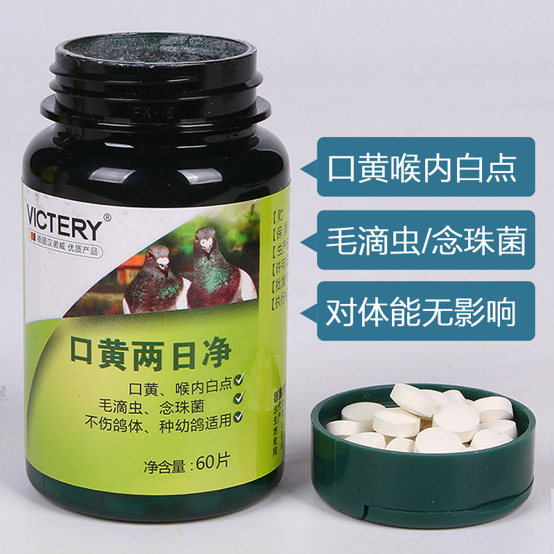 口黄两日净产品展示--中信网鸽业大全