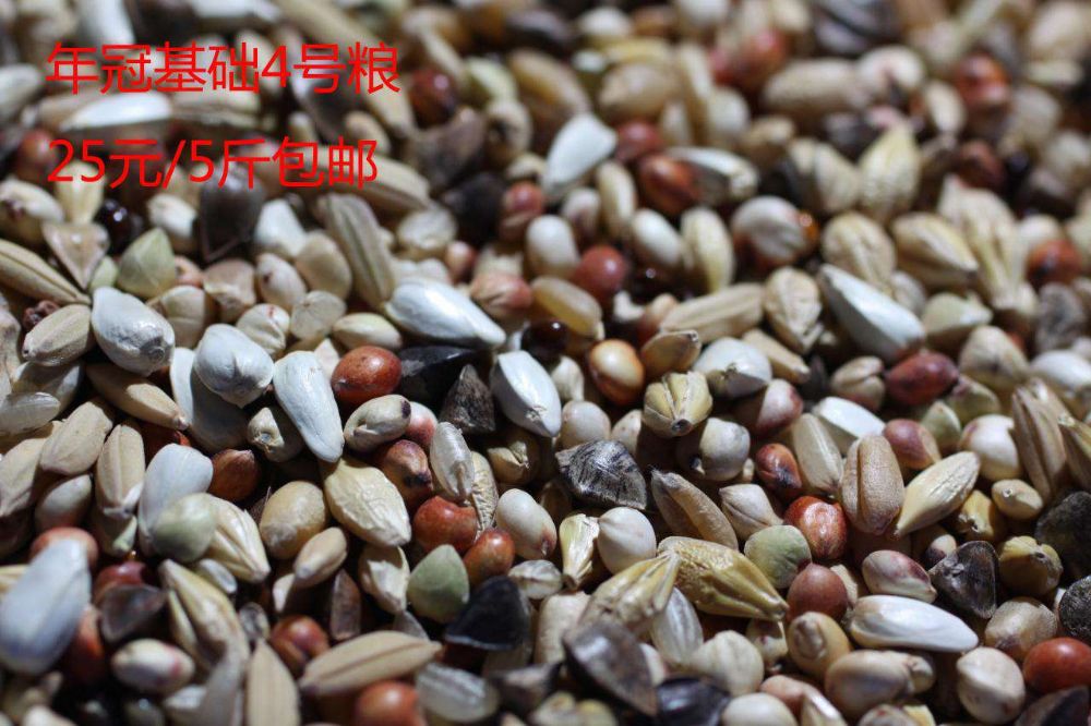 年冠鸽粮(徐州代理) 基础4号