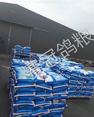 赛冠库存产品展示 - 中信网鸽业大全