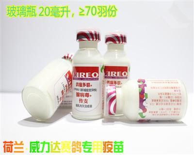 ����+�ٲ���+��֧