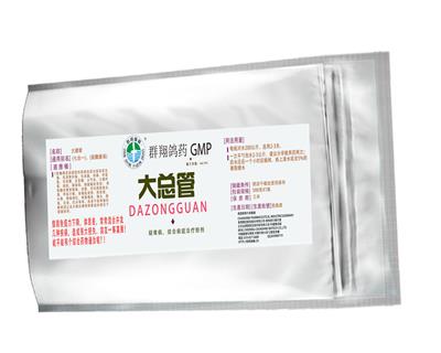 大总管