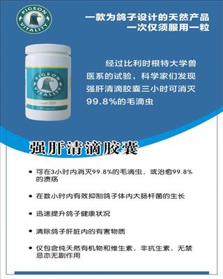 强肝清滴胶囊赛鸽活力100粒