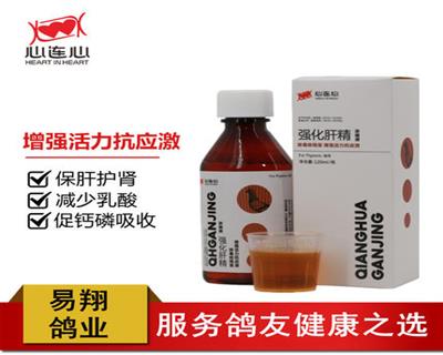 心连心鸽药【强化肝精】明目转化脂肪生津止渴120ml/瓶