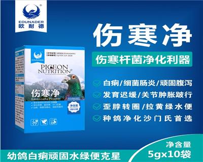 伤寒净  伤寒、副伤寒、沙门氏菌白痢、细菌性肠炎、顽固性腹泻