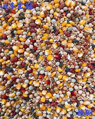 富含丰富磷钙￥5512成交年冠(凡赛尔总经销)a plus清除年冠(凡赛尔总