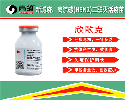 高鸽欣敢克预防新城疫禽流感二联灭活疫苗鸽瘟信赛鸽疫苗10ml