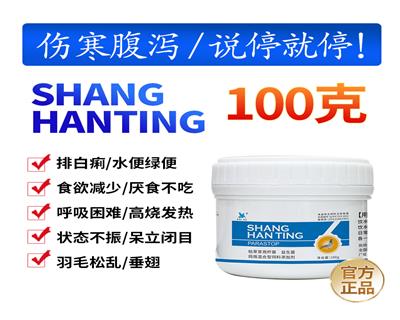 伤寒停100g