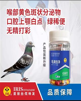 爱丽丝毛滴虫净胶囊