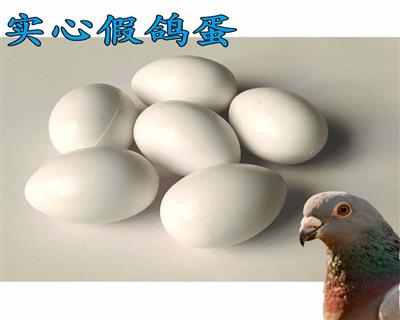 ٵ/ſѼٵ/ʵļٵ