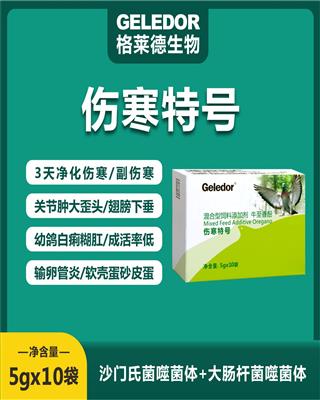 伤寒特号