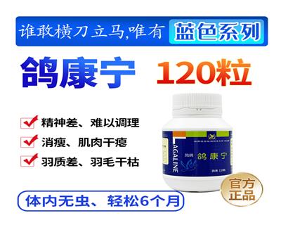 뿵120