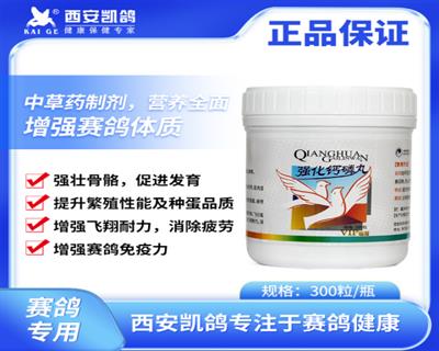 롾ǿ衿300