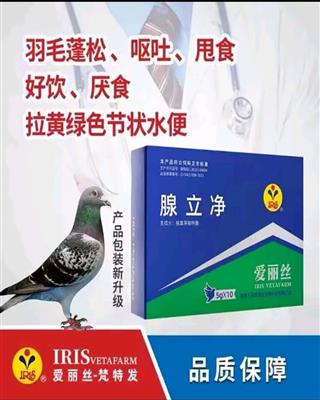 ����˿���������������ٲ���Ż��˦ʳ