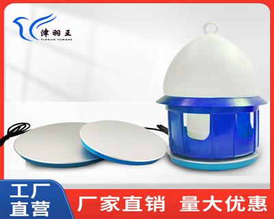 ������ ������ ������ ������