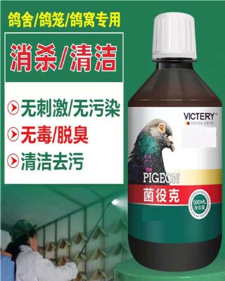 �¹���ŵ�� ����ɱ ���ۿ�