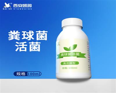 粪球菌活菌 100ml