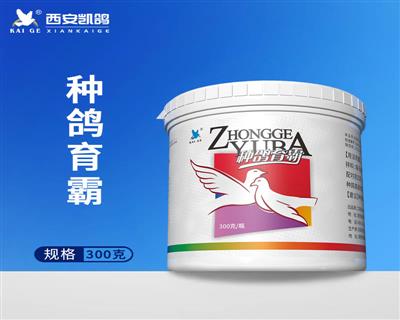 �ָ�����300g