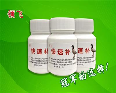 ��ɣ�����ӮǮ���������ٲ�