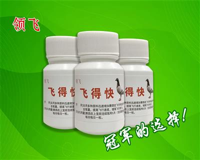 ��ɣ��ɵÿ죨����ӮǮ������