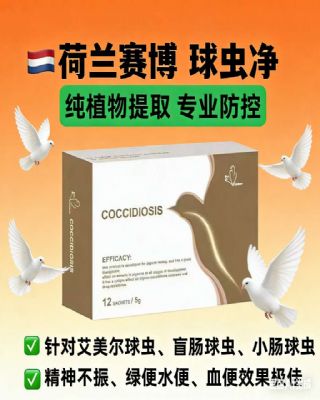 ����-��澻