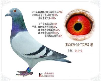 ����ҵ������