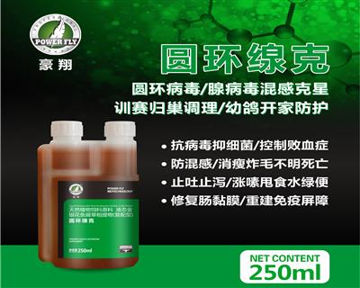 Բ������