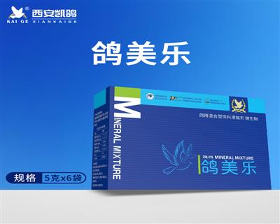 ������ 5g*6��