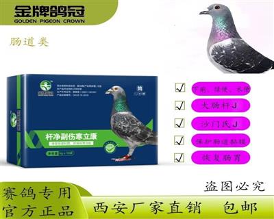 �����Ƹ�ڡ��˾����˺����� ��װ���Ƽ�Ԥ������