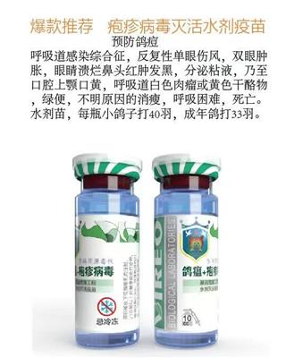 ���������+��������ˮ����