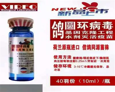 �����������Բ����������