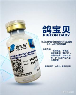 �뱦��-��/��/��/Բ+��״����+ɳ����