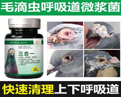 ����һ ë�γ桢��������΢��������һ����