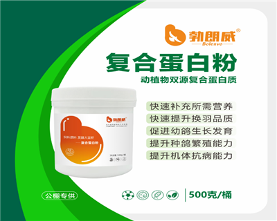 复合蛋白粉 动植物双蛋白，补充鸽体全面营养