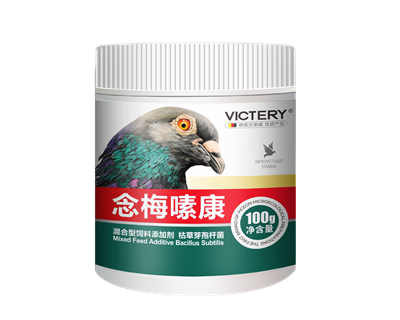 念梅嗉康