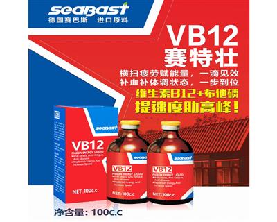 VB12赛特壮