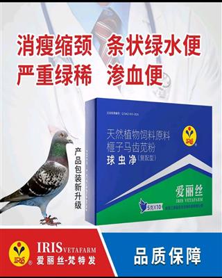 爱丽丝【球虫速灭净】拉绿稀便，血便水节便