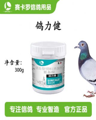 赛卡罗/鸽力健/营养补充助力赛飞