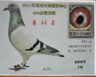 ����鿴��ͼ